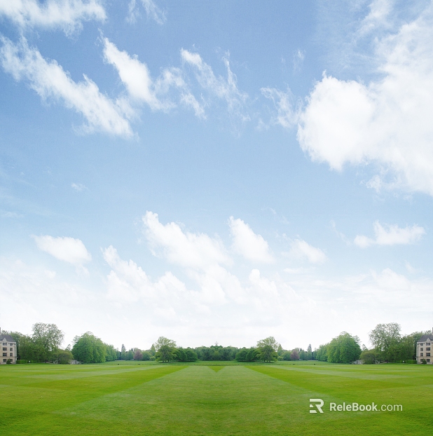 Fresh green lawn outdoor landscape texture