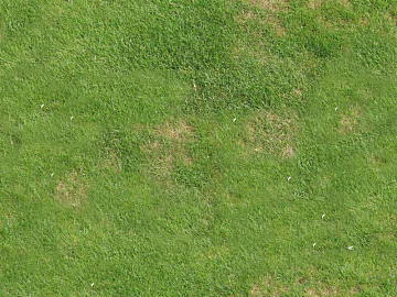 Grassland texture (ID:ffach264935)