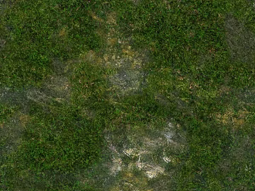 Turf texture (ID:ffacg62068)