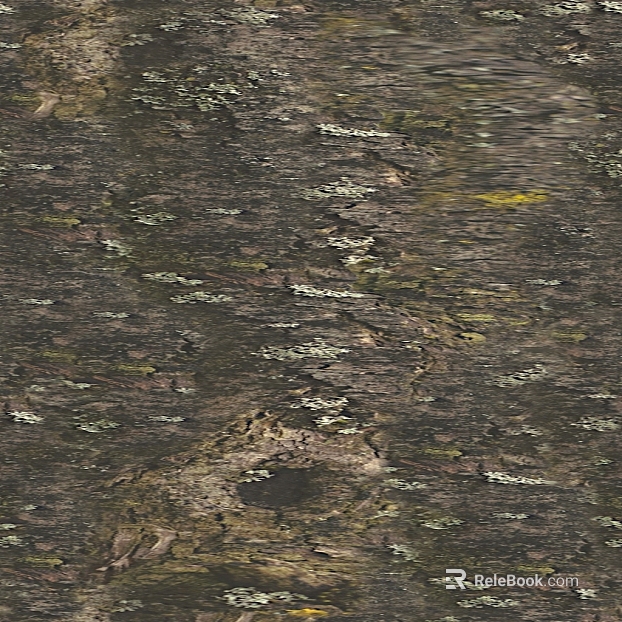 Dark gray with moss rock outdoor wall texture
