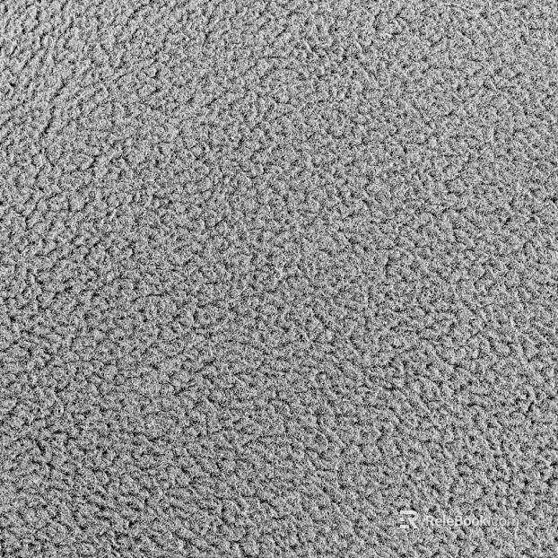 True stone paint texture