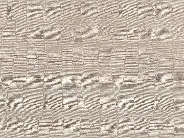 Plain pattern carpet texture (ID:ffacg36276)