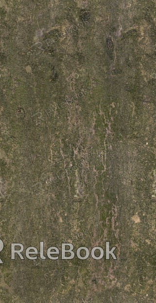 bark texture