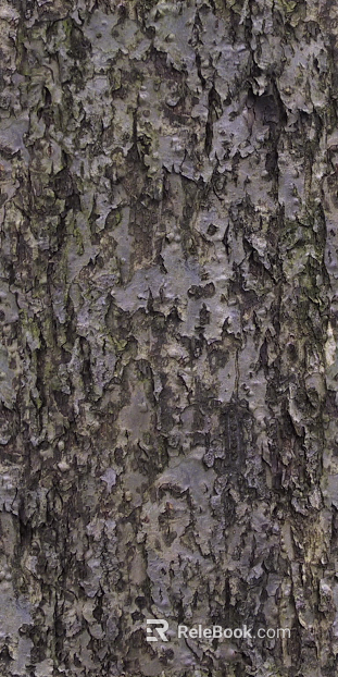 bark texture