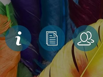 Screen material texture (ID:ffacf2642)