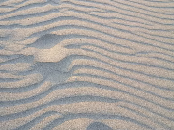 Sand texture (ID:ffagg78425)