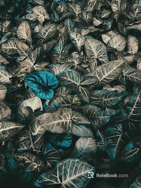 Plant painting texture