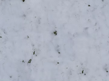 Snowy ground texture (ID:ffaeh691324)
