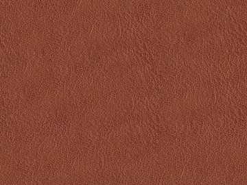 fine grain leather texture (ID:ffach440906)