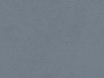fine grain leather 3d model