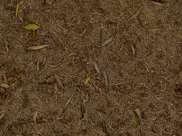 Turf texture (ID:ffach844965)