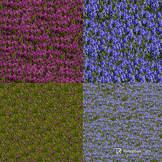 Plants texture