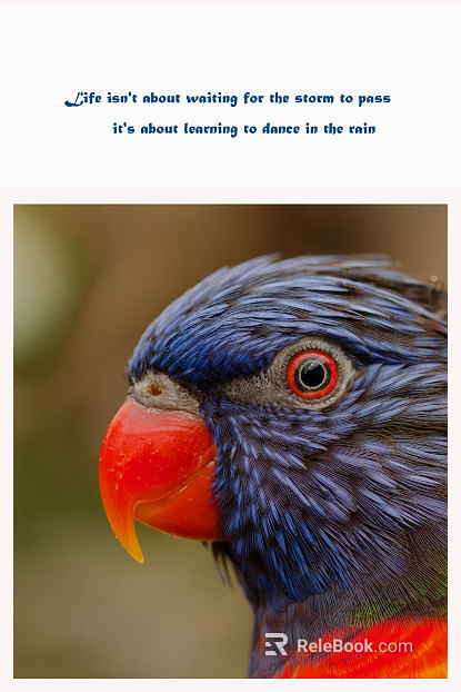 Animal painting texture