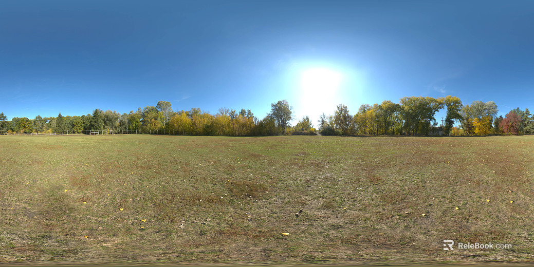 Lawn Park Sunny Day Day HDR texture