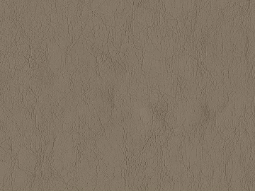Coarse-grain leather texture (ID:ffadf4997)