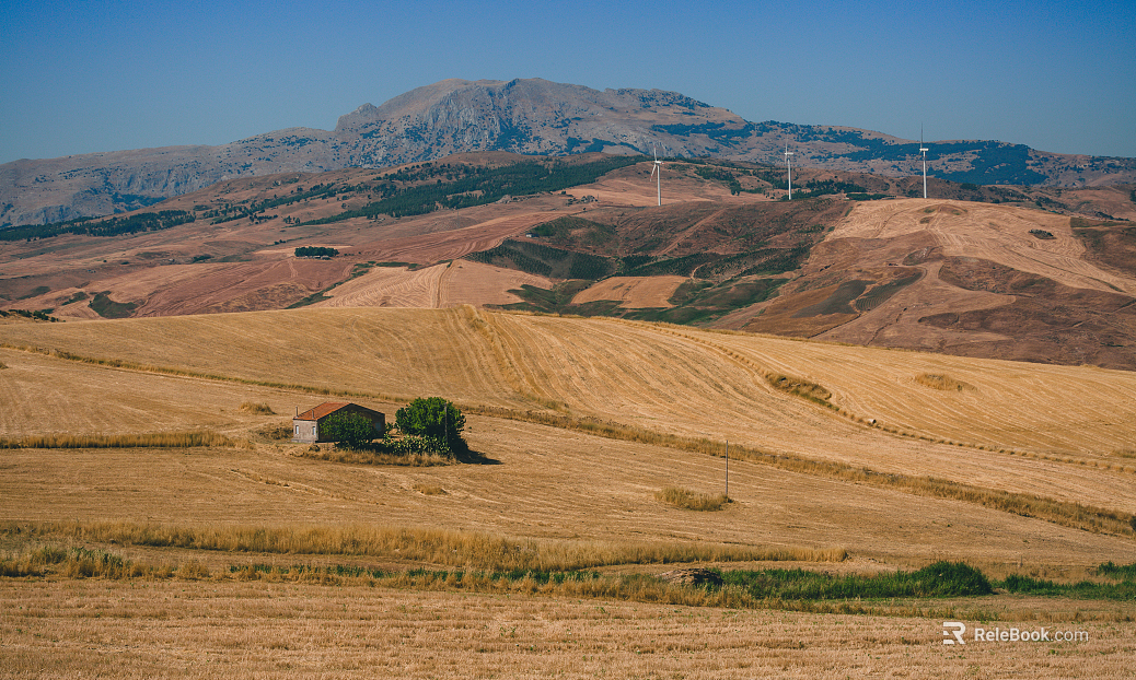 Country Exterior Nature Exterior texture