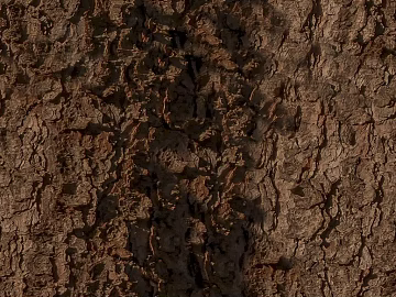 Dark Brown Bark Natural Decoration Map texture (ID:ffaeh455086)