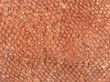 Coarse-grain leather texture (ID:ffach798660)