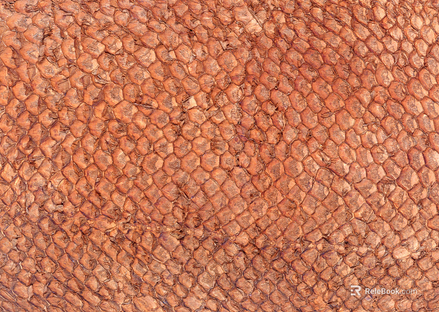 Coarse-grain leather texture