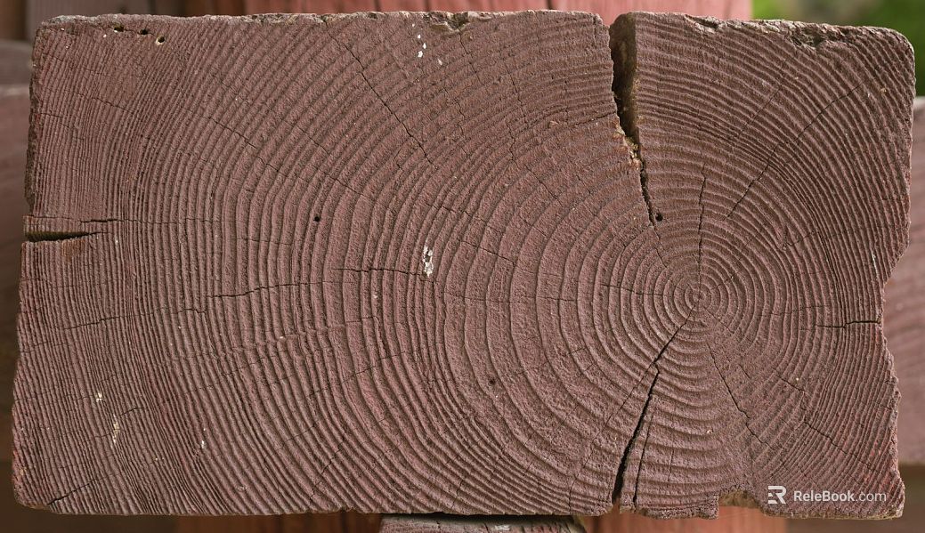 annual rings texture