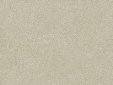 fine grain leather texture (ID:ffagg23935)