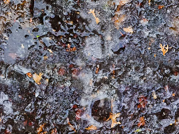 Rainy day water road surface texture (ID:ffach292900)