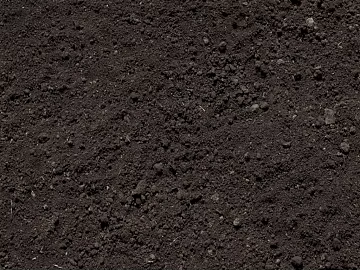 Soil 3d model