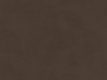 fine grain leather texture (ID:ffaef5577)