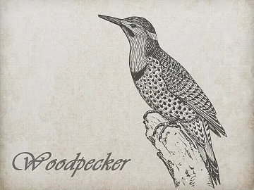 Animal painting texture (ID:ffaag01732)