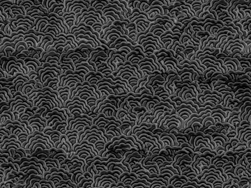 Black Xiangyun Pattern Fabric Soft Fabric texture (ID:ffaeh107141)