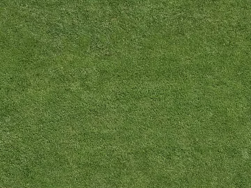 Turf texture (ID:ffacg72502)