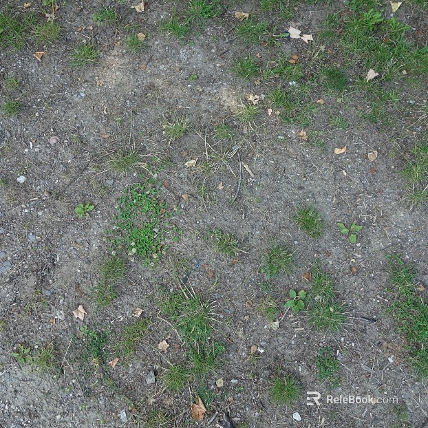 Grassland texture