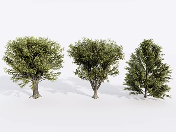 Plants texture (ID:ffaeg57638)