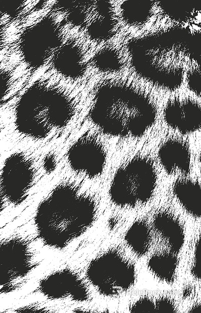 animal skin texture