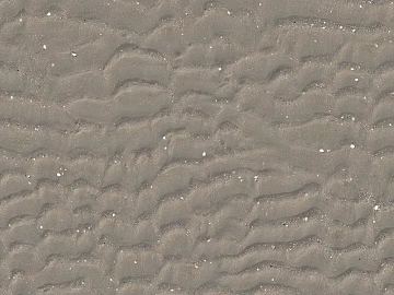 Beach Beach texture (ID:ffabf8071)