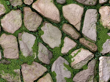 Light gray moss ground texture (ID:ffaeh799147)