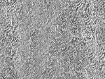Black and White Bump texture (ID:ffajg81264)
