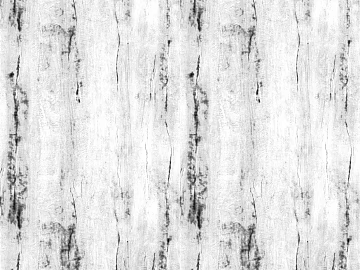 ancient tree bark texture (ID:ffaeg45408)