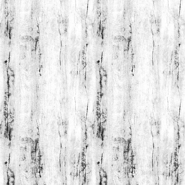 ancient tree bark texture