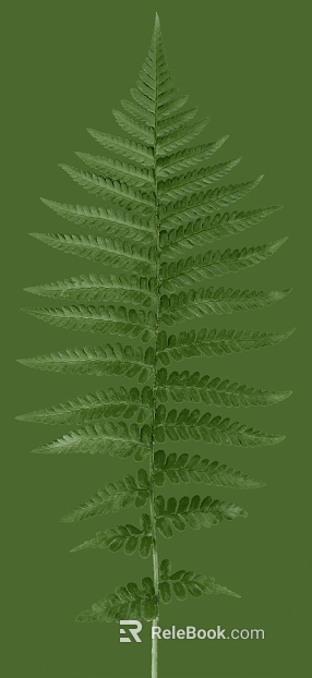 leaves texture