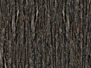 bark texture (ID:ffaeg40520)