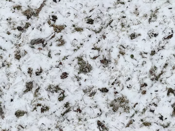 Ground-Snow texture (ID:ffhbe850)