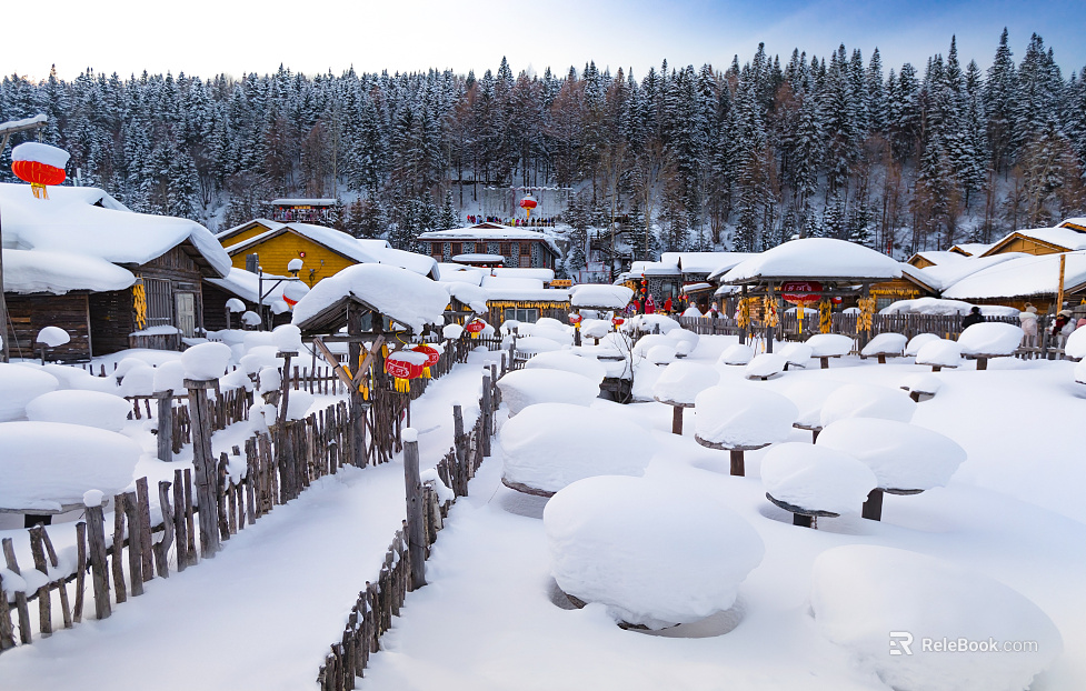 Snow texture