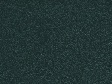 Coarse-grain leather texture (ID:ffagg79928)