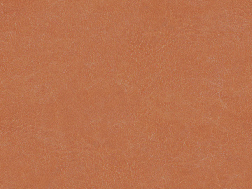 Coarse-grain leather texture (ID:ffagg14325)