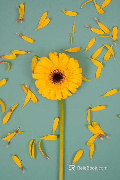 Flowers texture