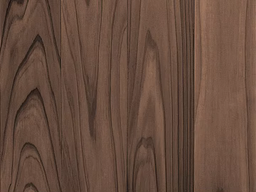 wood grain carbon black wood texture (ID:ffajf2596)