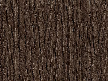 bark texture (ID:ffach521256)