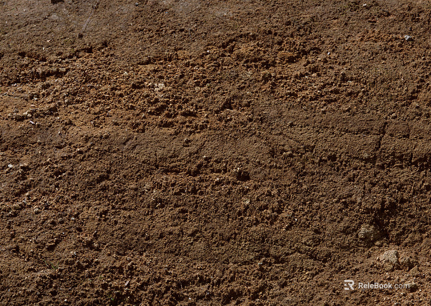 Sand texture