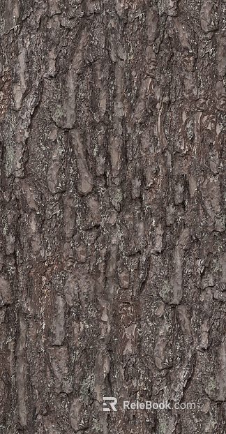 bark texture